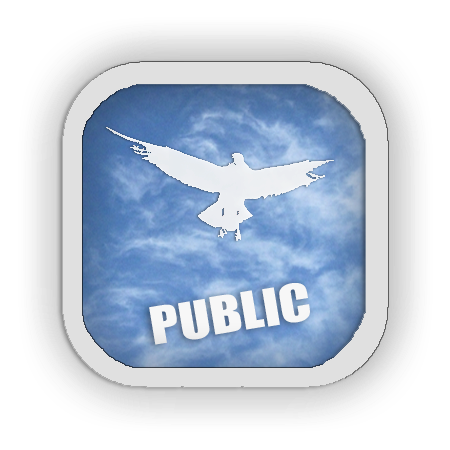 acces public